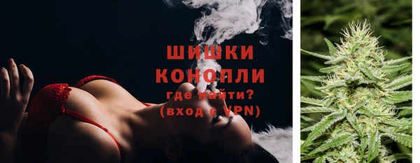 ПСИЛОЦИБИНОВЫЕ ГРИБЫ Беломорск