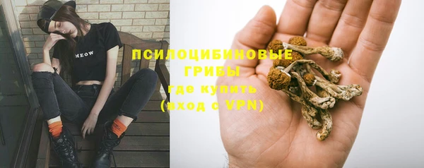 прущие грибы Белоозёрский