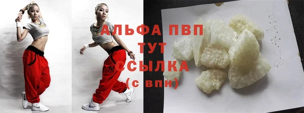 прущие грибы Белоозёрский