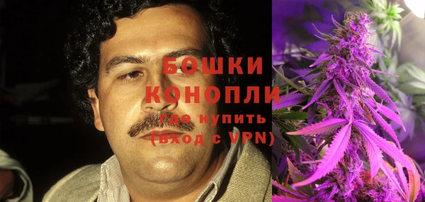 ПСИЛОЦИБИНОВЫЕ ГРИБЫ Беломорск