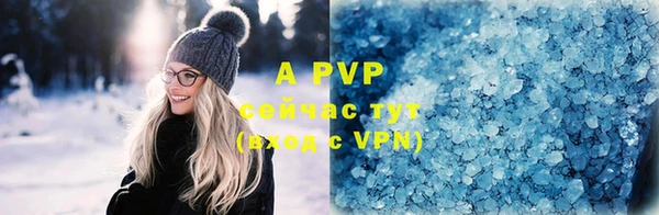 прущие грибы Белоозёрский