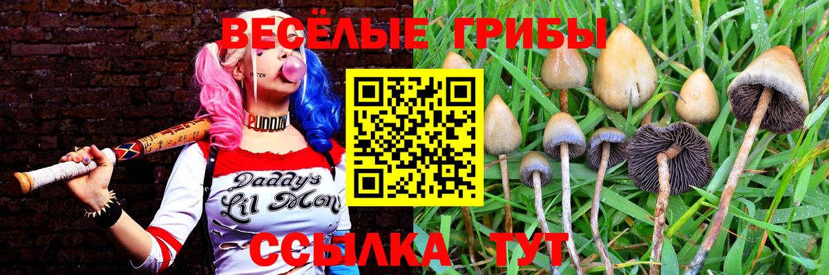 Галлюциногенные грибы мухоморы Гулькевичи